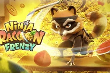 7755 bet login