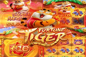 7755 bet login
